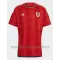 Wales Thuisshirt WK 2022