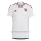 Wales Uitshirt WK 2022