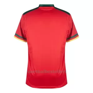 Kameroen Derde Shirt WK 2022
