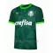 Palmeiras Thuisshirt 23/24