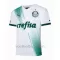 Palmeiras Uitshirt 23/24
