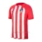 Atlético Madrid Thuisshirt 23/24