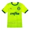 Palmeiras Derde Shirt 23/24