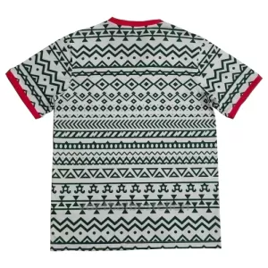 Nigeria Shirt 23/24 Speciaal