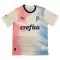 Palmeiras Shirt 23/24 Speciaal