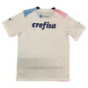 Palmeiras Shirt 23/24 Speciaal