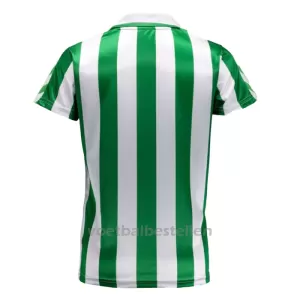 Real Betis Shirt 23/24 Speciaal