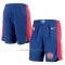 Detroit Pistons Shorts Icon Edition Swingman