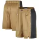 Toronto Raptors Shorts City Edition Swingman Toronto Raptors Shorts City Edition Swingman