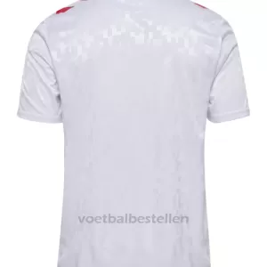 Denemarken Uitshirt EK 2024