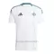 Northern Ierland Uitshirt 2024