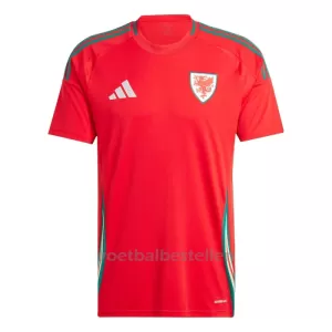 Wales Thuisshirt 2024