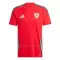 Wales Thuisshirt 2024