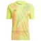 Mexico Doelman Shirt 2024 Geel