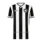 Botafogo Thuisshirt 24/25