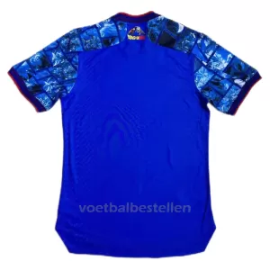 Japan x DragonBall Shirt 2024 Speciaal