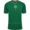 AS Saint-Étienne Shirt Jubileum 23/24