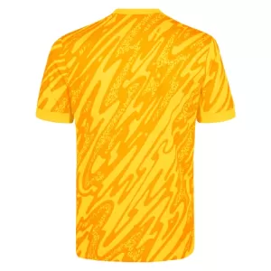 Tottenham Hotspur Doelman Shirt 24/25 Geel