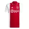 Ajax Amsterdam Thuisshirt 24/25