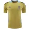 Argentinië Pre-Match Shirt 2024 Geel