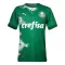 Palmeiras Shirt 2024 Groente Speciaal