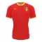Guinea Thuisshirt 2024