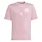 Nigeria Shirt 2024 Roze Speciaal