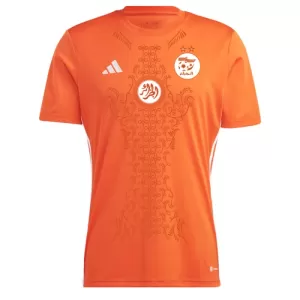 Nigeria Shirt 2024 Speciaal Nigeria Shirt 2024 Speciaal