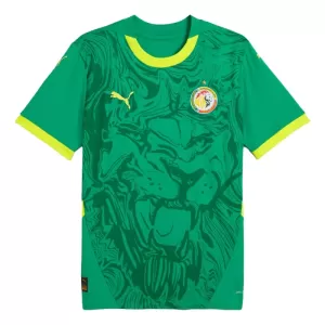 Senegal Uitshirt 24/25 Senegal Uitshirt 24/25
