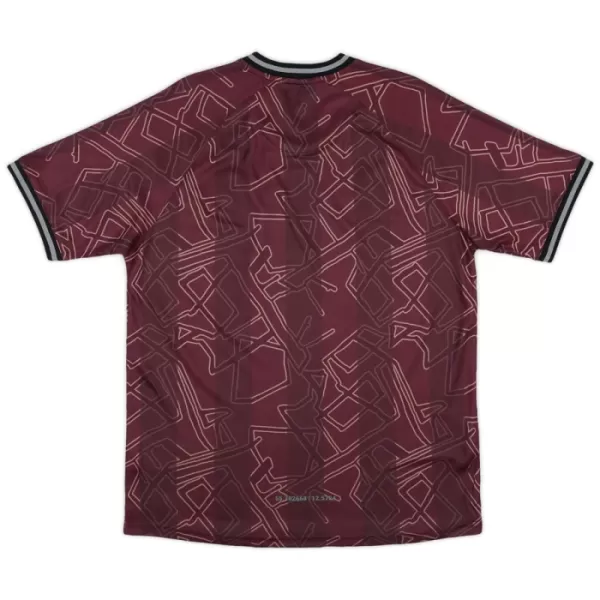 Denemarken Shirt 24/25 Speciaal