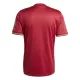 FC Bayern München Shirt Jubileum 24/25