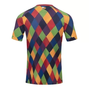 FSV Mainz 05 Shirt 24/25 Speciaal