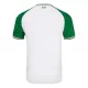 Ierland Derde Shirt 24/25