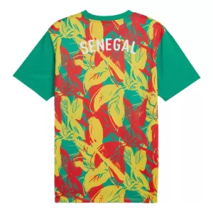 Senegal Pre-Match Shirt 24/25