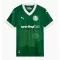 Palmeiras Thuisshirt 25/26