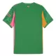 Manchester City Doelman Shirt 25/26 Groente