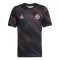 FC Bayern München Pre-Match Shirt 25/26