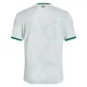 Ierland Uitshirt 25/26