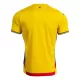 Roemenië Thuisshirt 2025