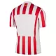 Atlético Madrid Thuisshirt 25/26