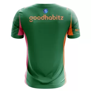 PSV Eindhoven Doelman Shirt 25/26 Groente