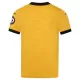 Wolverhampton Wanderers Thuisshirt 25/26