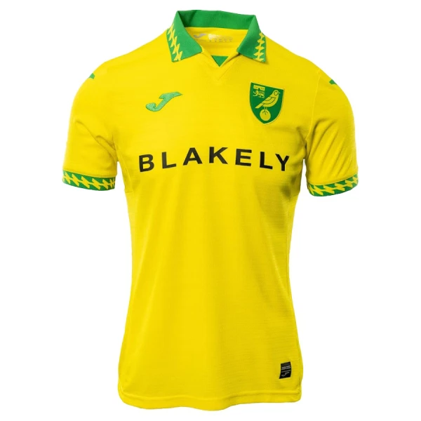 Norwich City Thuisshirt 25/26