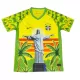 Brazilië Shirt 2025 Wit Speciaal Brazilië Shirt 2025 Wit Speciaal