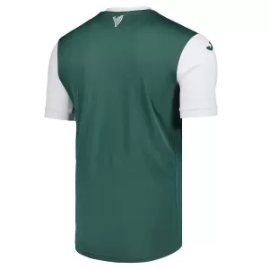 Hibernian Thuisshirt 25/26