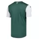 Hibernian Thuisshirt 25/26