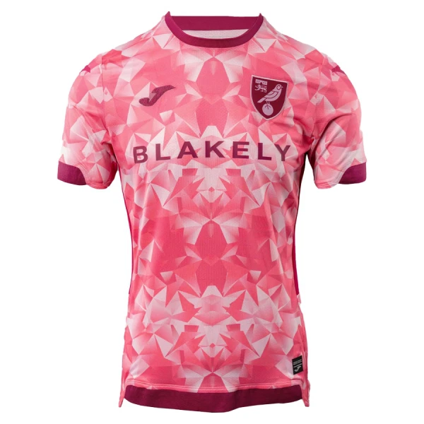 Norwich City Derde Shirt 25/26