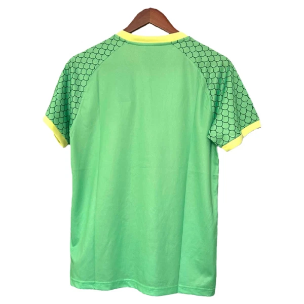 Japan x DragonBall Shirt 2025 Speciaal