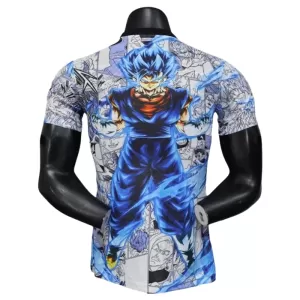 Japan x DragonBall Shirt 2025 Speciaal