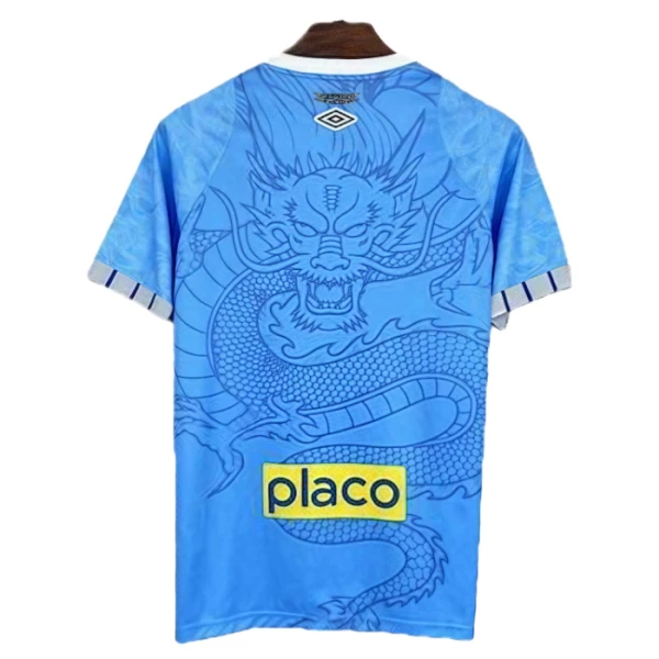 Santos FC Shirt Dragon 25/26 Blauw